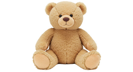 Isolated Teddy bear