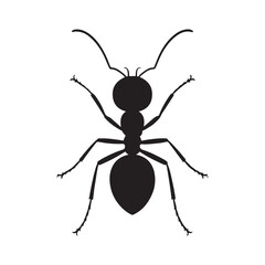 vector illustration of ant icon