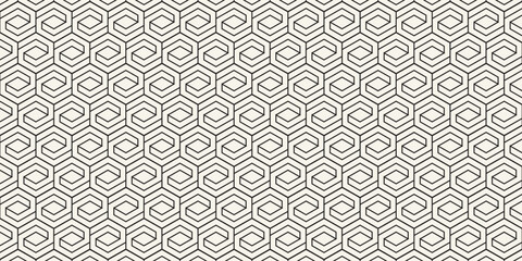 Vector seamless lattice pattern. Modern stylish texture with monochrome trellis. Repeating geometric grid. Simple design background.