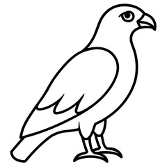 Stylized Hawk Outline Illustration