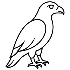 Stylized Hawk Outline Illustration