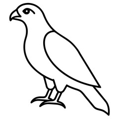 Stylized Hawk Outline Illustration