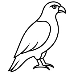Stylized Hawk Outline Illustration