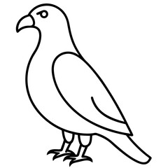 Stylized Hawk Outline Illustration