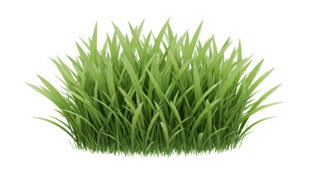 Isolated Patch of Green Grass