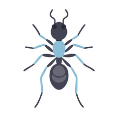 Flat vector illustration of an ant against a black background