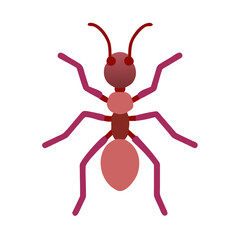 Simplified illustration of an ant on a black background