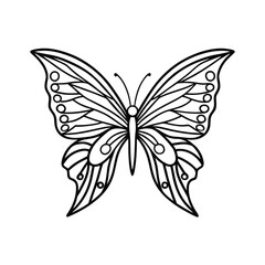 Elegant butterfly outline design vector illustration detailed black and white winged insect graphic isolated