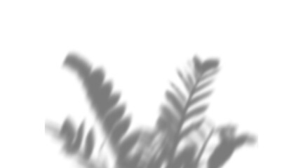 Realistic shadow overlay effect png, natural foliage shadows isolated on transparent background