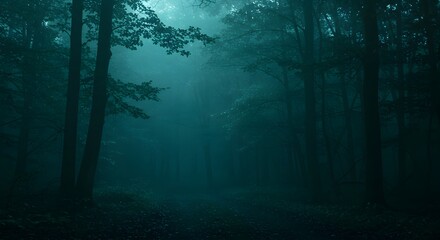 Obraz premium Walking through Mysterious Foggy Forest Path in the Evening