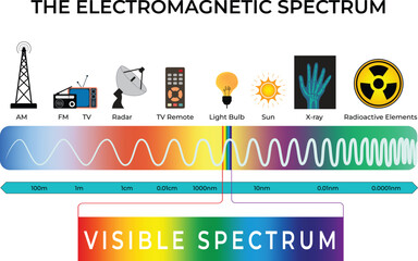 Electromagnetic Spectrum Overview Design Vector Illustration