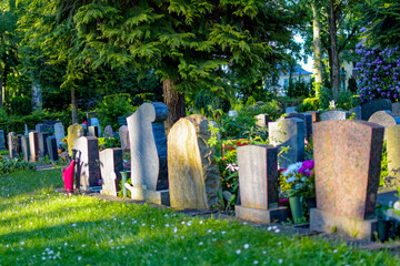 Back of several gravestones in a cemetery. No personal data can be seen.