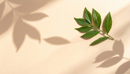 Captivating green leaf detail nature setting close-up photography soft background artistic perspective organic beauty