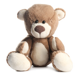 Cute teddy bear isolated on white. Stuffed animal
