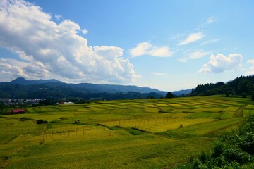 くぬぎ平の棚田。朝日、山形、日本。9月中旬。