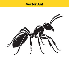 A vector ant