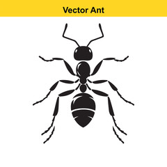 A vector ant
