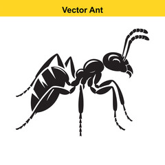A vector ant
