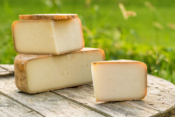 Traditional Ossau-Iraty cheese on a wooden table in the rural setting in France.