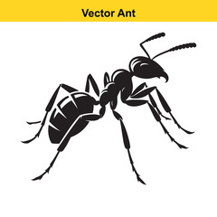 A vector ant