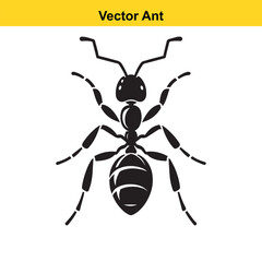 A vector ant