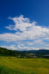 Obraz premium くぬぎ平の棚田。朝日、山形、日本。9月中旬。