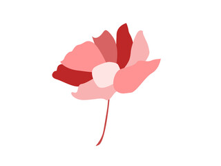 Light Pink Flower With Abstract Petals