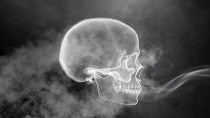 Smoke forming a skull against dark backdrop, quit smoking concept
