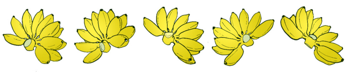 banana 39.eps