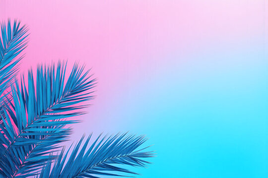 palm leaves on a colorful background