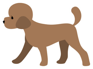 강아지 푸들 일러스트레이션