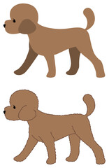 강아지 푸들 라인 일러스트레이션 세트