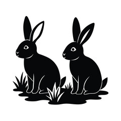 Fototapeta premium Adobe Illustrator Artwork