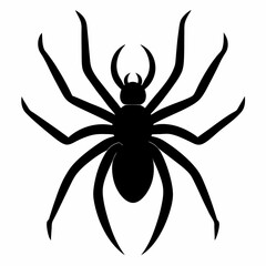 Flat Spider Silhouette Vector Art