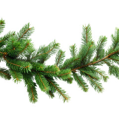 Christmas Garland Pine Branch Evergreen Swags Holiday Decoration Festive Decor Winter Imagery Xmas Wreath Natural Greenery Christmas Background Holiday Background on transparent background