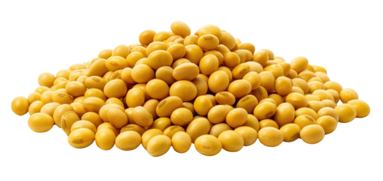 A pile of yellow soybeans on a white background.
