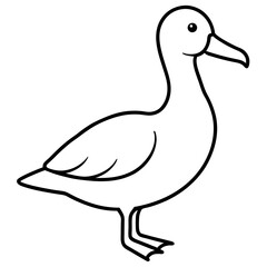 Graceful Albatross Outline Art