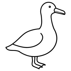 Graceful Albatross Outline Art