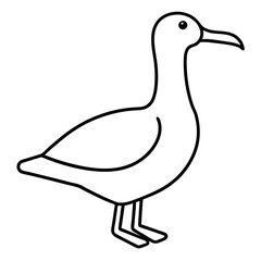 Graceful Albatross Outline Art