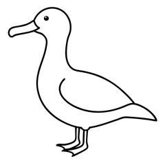 Graceful Albatross Outline Art