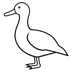 Graceful Albatross Outline Art