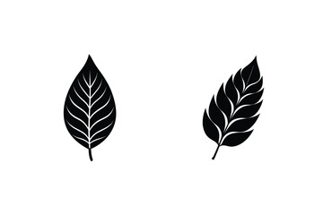 Obraz premium Black And White Leaf Vector Art Illustration For Nature Design Elements