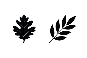 Elegant Leaf Silhouette Vector Illustration Featuring Oak And Laurel Foliage