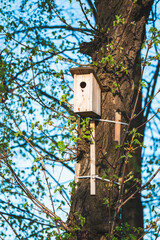 homemade birdhouse on a tree
