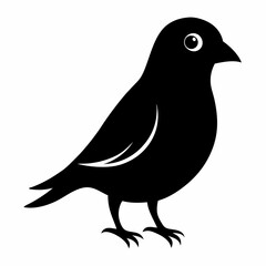 Graceful Canary Silhouette in Vector