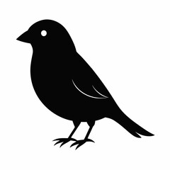 Graceful Canary Silhouette in Vector