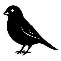Graceful Canary Silhouette in Vector