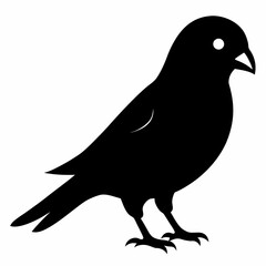Graceful Canary Silhouette in Vector