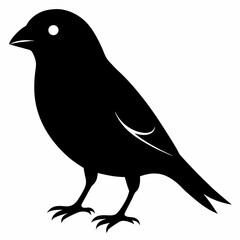 Graceful Canary Silhouette in Vector