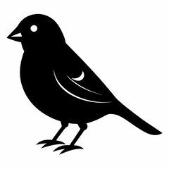 Graceful Canary Silhouette in Vector
